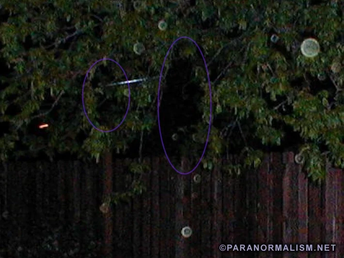 tree_orbs1zc_PN