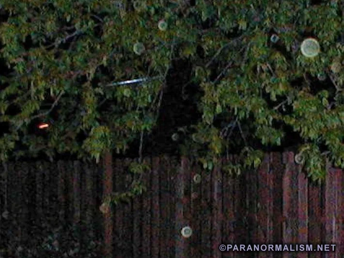tree_orbs1zl_PN